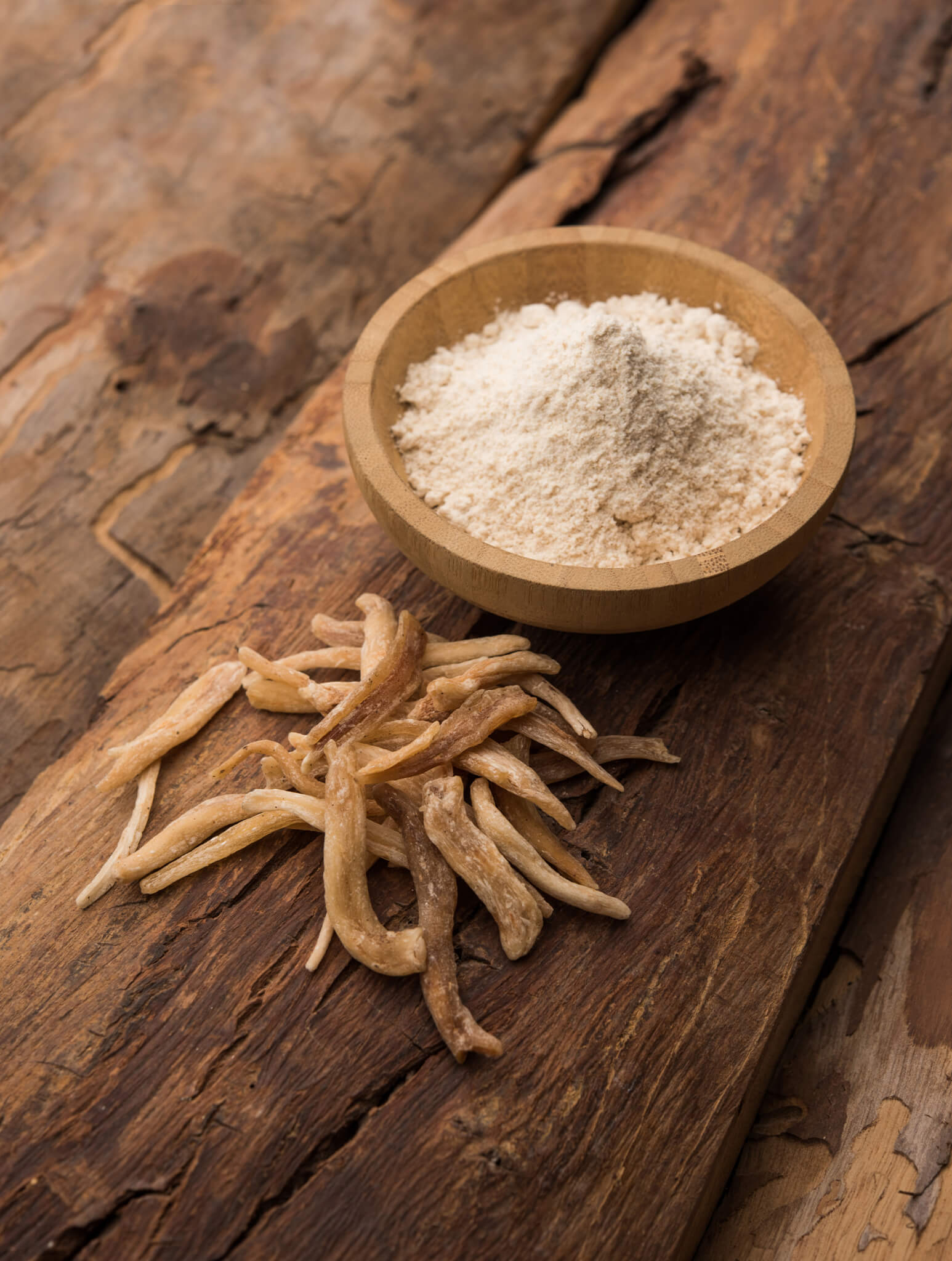 What are the Health Benefits of Cordyceps